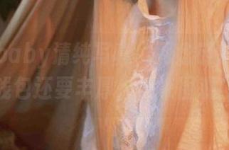 鹿八岁baby清纯写真，网盘链接比我的钱包还要丰厚，快来围观！